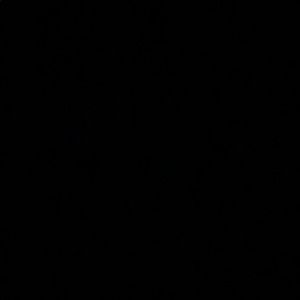 Meet your Posher, Maggie